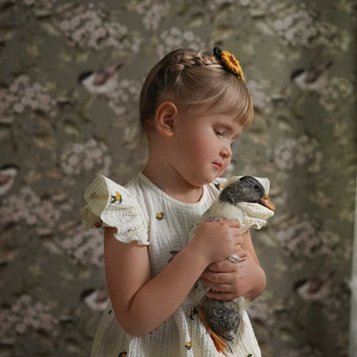Birds And Green Spring Wallpaper